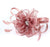 Champagne fascinator