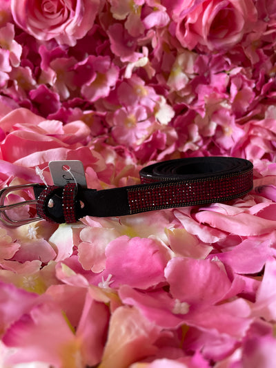 Black Thin Suede Belt with Red diamonte detail and gold trim